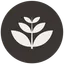 Grow Interactive