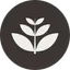 Grow Interactive